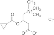 Cyclopropanecarboxyl Carnitine Chloride