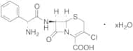 Cefaclor Monohydrate
