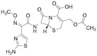 Cefotaxime