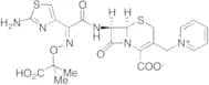 E-Ceftazidime