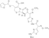 tert-Butyloxycarbonyl Ceftiofur Dioxime