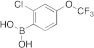 (2-Chloro-4-trifluoromethoxyphenyl)boronic Acid