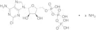 2-Chloroadenosine triphosphate Ammonium Salt (~90%)