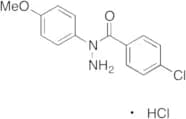 4-Chloro-benzoic Acid 1-(4-Methoxyphenyl)hydrazide Hydrochloride