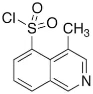 5-Chlorosulfonyl-4-methylisoquinoline