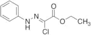 2-Chloro-2-(phenylhydrazono)acetic Acid Ethyl Ester
