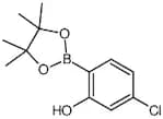 4-Chloro-2-hydroxyphenylboronic acid pinacol ester