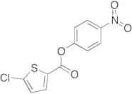 5-Chloro-2-Thiophenecarboxylic Acid 4-Nitrophenyl Ester