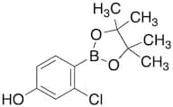 3-Chloro-4-(4,4,5,5-tetramethyl-1,3,2-dioxaborolan-2-yl)phenol