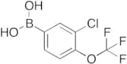 3-Chloro-4-(trifluoromethoxy)phenylboronic Acid