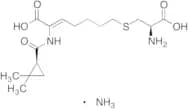 Cilastatin Ammonium Salt