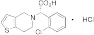 Clopidogrel Carboxylic Acid Hydrochloride