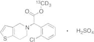 rac Clopidogrel-13C,d3 Hydrogen Sulfate