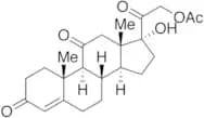 Cortisone Acetate