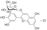 Cyanidin 3-O-β-D-Galactopyranoside Chloride