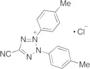 5-Cyano-2,3-di-p-tolyltetrazolium Chloride (>85%)