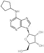 N6-Cyclopentyladenosine