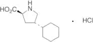 (4S)-4-Cyclohexyl-L-proline Hydrochloride