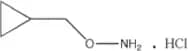 O-Cyclopropylmethyl-hydroxylamine, Hydrochloride