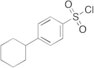4-Cyclohexyl-benzenesulfonyl Chloride