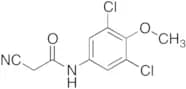 2-Cyano-N-(3,5-dichloro-4-methoxyphenyl)-acetamide