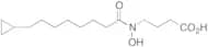 N-(9-Cyclopropyl-1-oxononyl)-N-hydroxy-β-alanine
