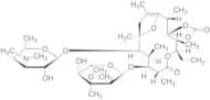 Cycloester Erythromycin Enol Ether
