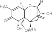 Deepoxydeoxynivalenol
