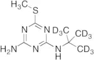 Deethylterbutryne-d9
