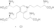 Desmosine Chloride