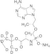 Desphenyl Tenofovir Alafenamide-d7 Ammonium Salt