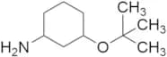 3-(1,1-Dimethylethoxy)cyclohexanamine