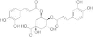 4,5-Dicaffeoylquinic Acid