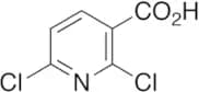 2,6-Dichloropyridine-3-carboxylic Acid