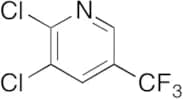 2,3-Dichloro-5-(trifluoromethyl)pyridine
