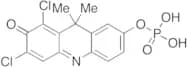 1,3-Dichloro-9,9-dimethyl-7-(phosphonooxy)-2(9H)-acridinone