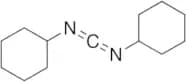 N,N'-Dicyclohexylcarbodiimide