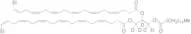 1,2-Didocosahexaenoyl-3-palmitoyl Glycerol-d5