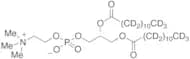 L-α-Dilauroyl Phosphatidylcholine-d46