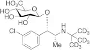 rac Erythro Dihydrobupropion β-D-Glucuronide-d9