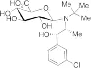 rac erythro-Dihydro Bupropion N-β-D-Glucuronide