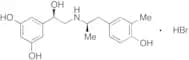 (1RS)-1-(3,5-Dihydroxyphenyl)2-[[(1RS)-2-(4-hydroxy-3-methylphenyl)-1-methylethyl]aminoethanol Hyd…