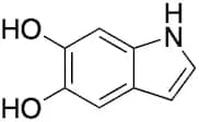 5,6-Dihydroxyindole