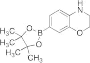 3,4-Dihydro-2H-1,4-benzoxazine-7-boronic Acid Pinacol Ester