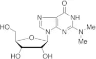 2-(Dimethylamino)guanosine