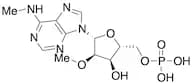 6,2'-Dimethyladenosine 5'-Monophosphate