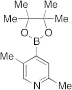2,5-Dimethyl-4-(4,4,5,5-tetramethyl-1,3,2-dioxaborolan-2-yl)-pyridine (>90%)