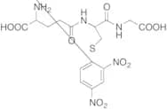 S-(2,4-Dinitrophenyl)-Glutathione