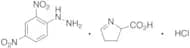 4-(2-(2,4-Dinitrophenyl)hydrazine)-1-carboxybutan-1-aminium Chloride