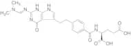 N-2-[(Dimethylamino)methylene]amino Pemetrexed